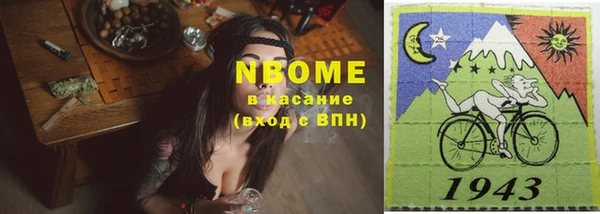 крисы Осинники