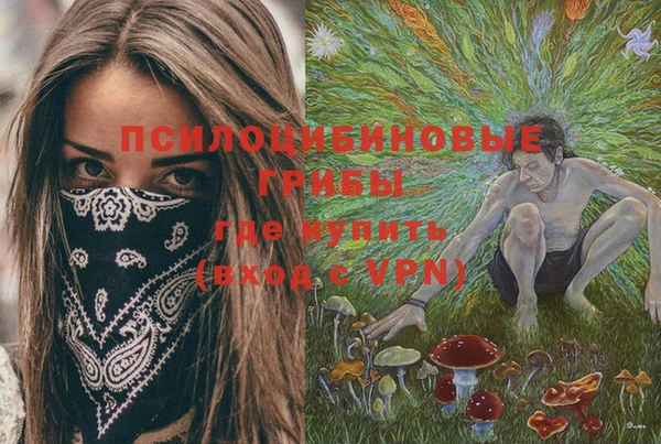 стафф Осташков