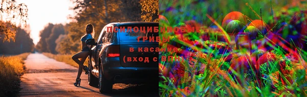 стафф Осташков