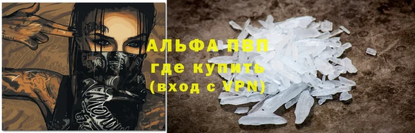 стафф Осташков