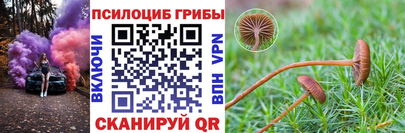 Псилоцибиновые грибы Magic Shrooms  Уварово 